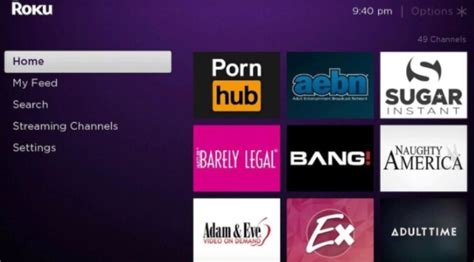 porn for roku|How to Watch Porn on Roku In 2024